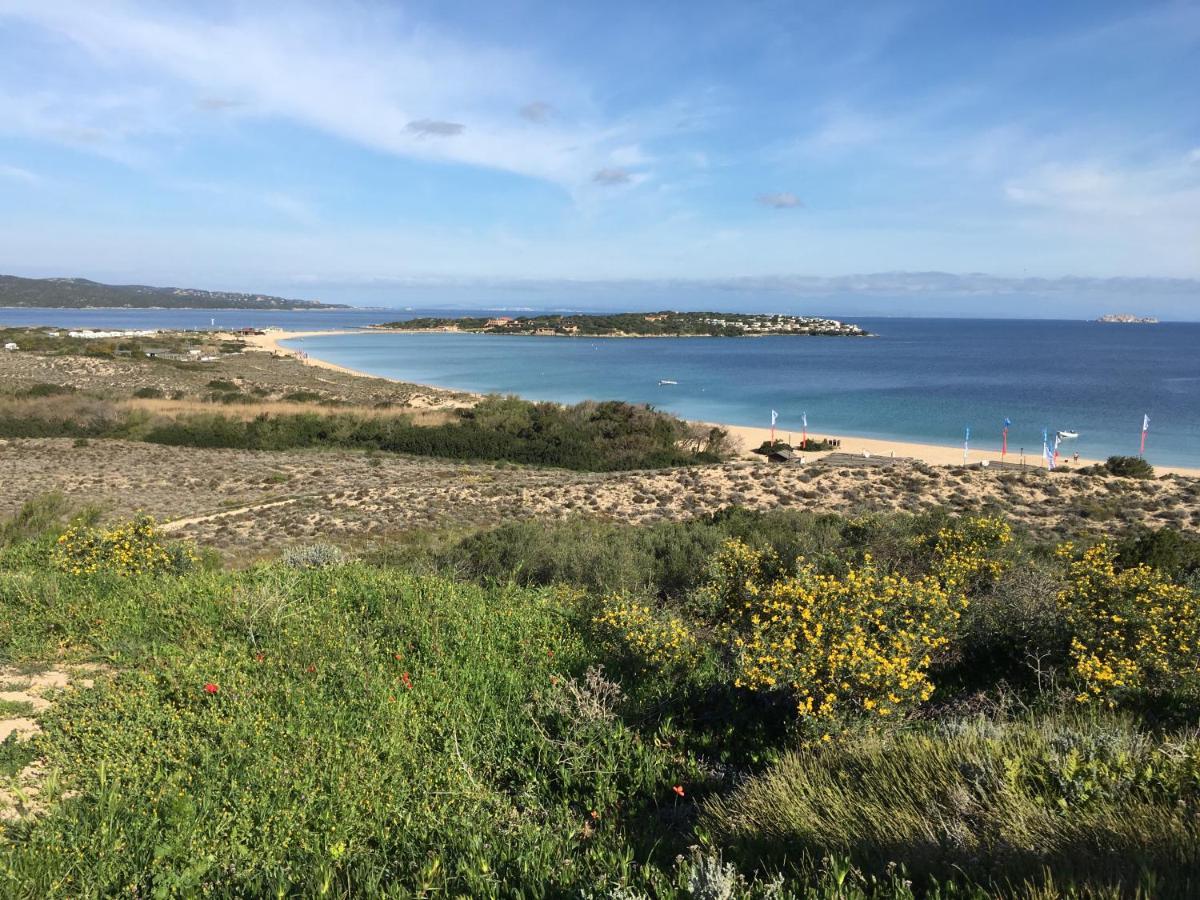 Il Bouganville A 150M Dalla Spiaggia Con Vista Sulla Splendida Baia Di Porto Raphael Palau Exteriér fotografie