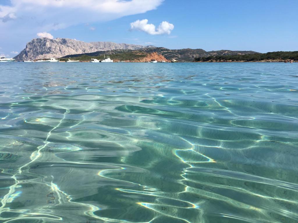 Il Bouganville A 150M Dalla Spiaggia Con Vista Sulla Splendida Baia Di Porto Raphael Palau Exteriér fotografie